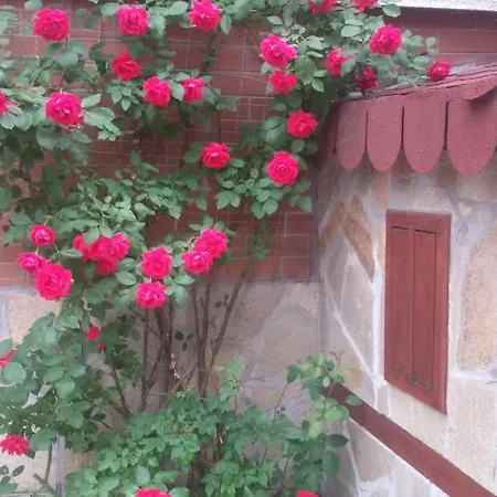 Konukevi Vesi's Filibe